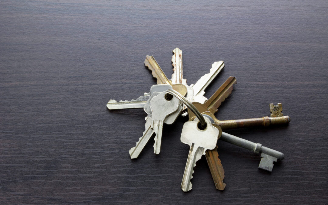 Keys Management: Comparing Key Tagging and Tracking Services
